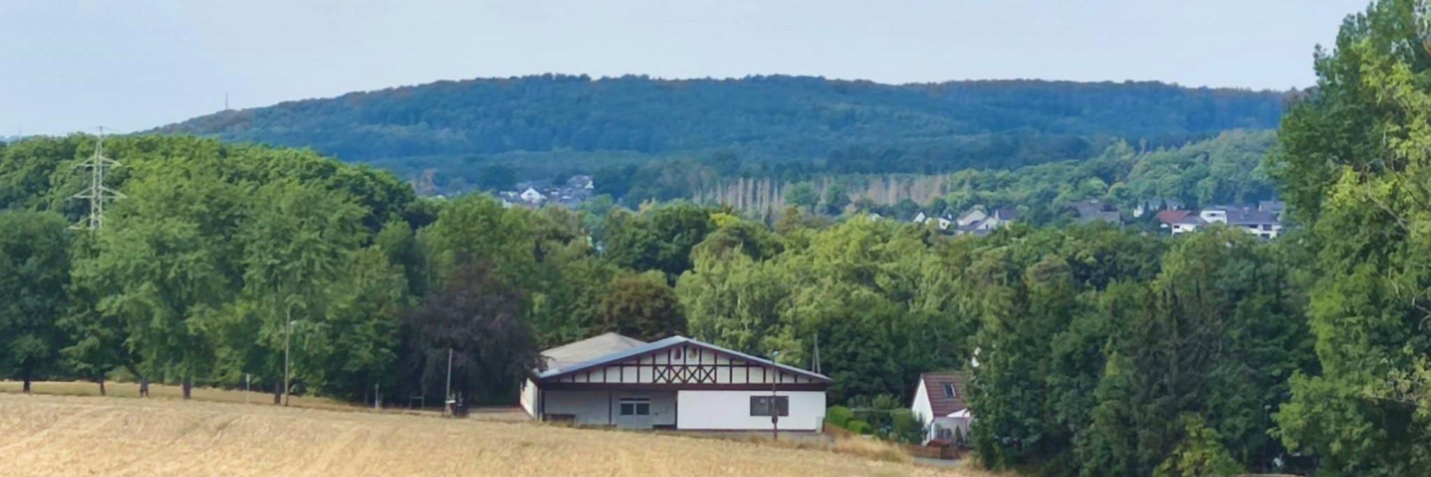 Zymphonies Free Banner Image