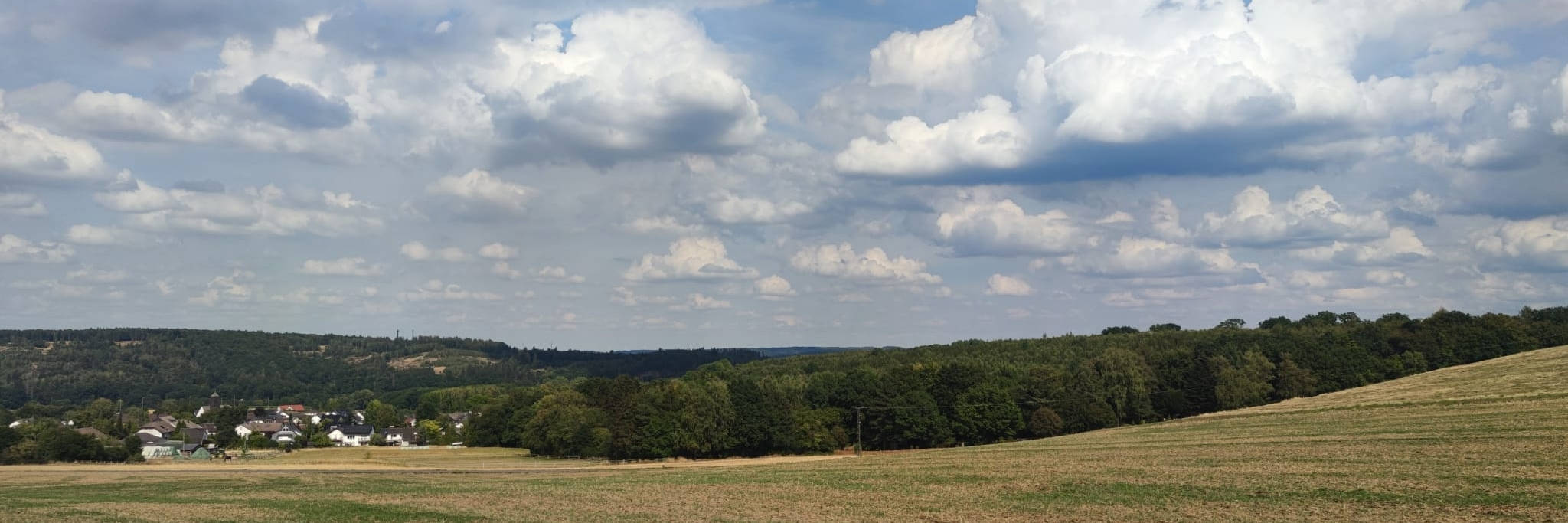 Zymphonies Free Banner Image